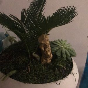 Meet your Posher, Irma